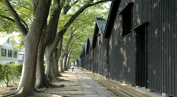 黒壁と欅並木が織りなす
米どころ庄内のシンボル

