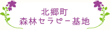 北郷町
森林セラピー基地