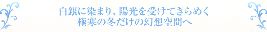 白銀に染まり、陽光を受けてきらめく極寒の冬だけの幻想空間へ