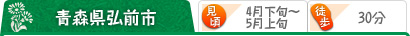 青森県弘前市 （見頃）4月下旬～5月上旬 （駅から） 徒歩30分