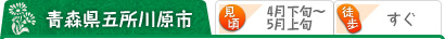 青森県五所川原市 （見頃）4月下旬～5月上旬 （駅から）すぐ