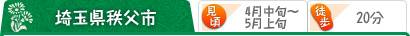 埼玉県秩父市 （見頃）4月中旬～5月上旬 （駅から）徒歩20分