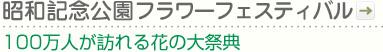 昭和記念公園フラワーフェスティバル｜100万人が訪れる花の大祭典