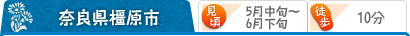 奈良県橿原市 （見頃）5月中旬～6月下旬 （駅から）徒歩10分