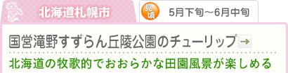 北海道札幌市｜5月下旬～6月中旬｜国営滝野すずらん丘陵公園のチューリップ｜北海道の牧歌的でおおらかな田園風景が楽しめる