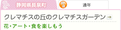 静岡県長泉町｜通年｜クレマチスの丘のクレマチスガーデン｜花・アート・食を楽しもう