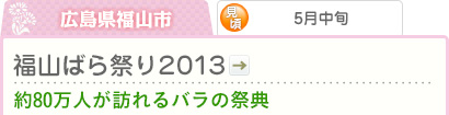 広島県福山市｜5月中旬｜福山ばら祭り 2013｜約80万人が訪れるばらの祭典