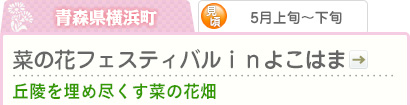 青森県横浜町｜5月上旬～下旬｜菜の花フェスティバルｉｎよこはま｜丘陵を埋め尽くす菜の花畑