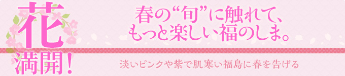 花 満開！｜春の“旬”に触れて、もっと楽しい福のしま。｜淡いピンクや紫で肌寒い福島に春を告げる