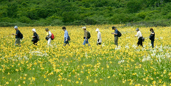 ブナ林を抜ければ、花咲き
小鳥さえずる天上の楽園

