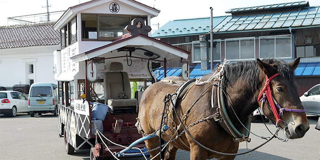 馬車でゆっくりめぐれば
蔵のまちの旅情も倍増


