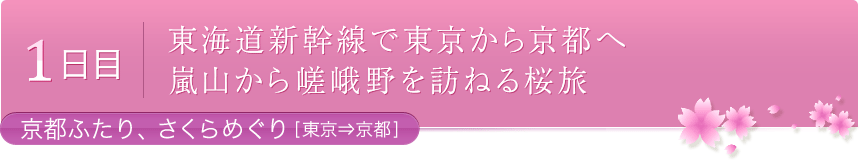 1日目 東海道新幹線で東京から京都へ 嵐山から嵯峨野を訪ねる桜旅 - 京都ふたり、さくらめぐり[東京⇒京都]