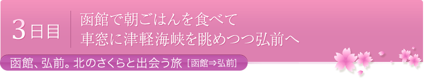 3日目 函館で朝ごはんを食べて 車窓に津軽海峡を眺めつつ弘前へ - 函館、弘前。北のさくらと出会う旅[函館⇒弘前]