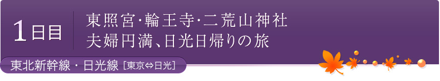 1日目 東照宮・輪王寺・二荒山神社 夫婦円満、日光日帰りの旅　東北新幹線・日光線［東京⇔日光］