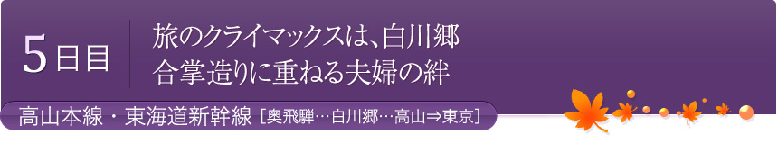 5日目 旅のクライマックスは、白川郷 合掌造りに重ねる夫婦の絆　高山本線・東海道新幹線［奥飛騨…白川郷…高山⇒東京］