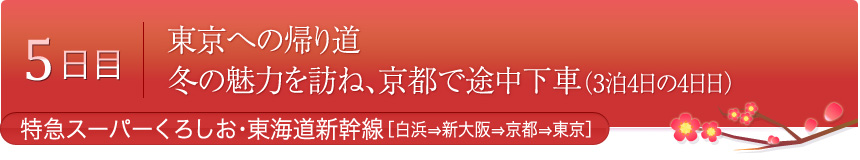 5日目 東京への帰り道 冬の魅力を訪ね、京都で途中下車（3泊4日の4日日）特急スーパーくろしお[白浜⇒新大阪]・東海道新幹線[新大阪⇒京都⇒東京]