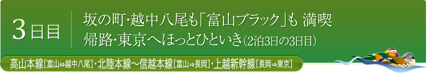 3日目 坂の町・越中八尾も「富山ブラック」も 満喫 帰路・東京へほっとひといき（2泊3日の3日目）高山本線[富山⇔越中八尾]・北陸本線～信越本線[富山⇒長岡]・上越新幹線[長岡⇒東京] 