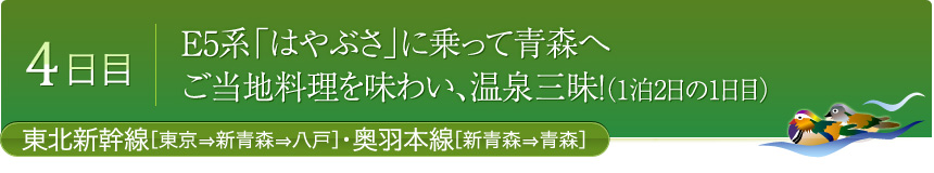 4日目 E5系「はやぶさ」に乗って青森へ ご当地料理を味わい、温泉三昧！（1泊2日の1日目）東北新幹線[東京⇒新青森⇒八戸]・奥羽本線[新青森⇒青森]