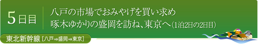 5日目 八戸の市場でおみやげを買い求め 啄木ゆかりの盛岡を訪ね、東京へ （1泊2日の2日目）東北新幹線[八戸⇒盛岡⇒東京]