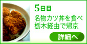 5日目　名物カツ丼を食べ栃木経由で帰京