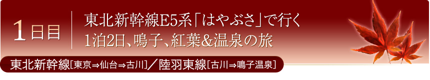 1日目 東北新幹線E5系「はやぶさ」で行く 1泊2日、鳴子、紅葉＆温泉の旅 東北新幹線［東京⇒仙台⇒古川］／陸羽東線［古川⇒鳴子温泉］