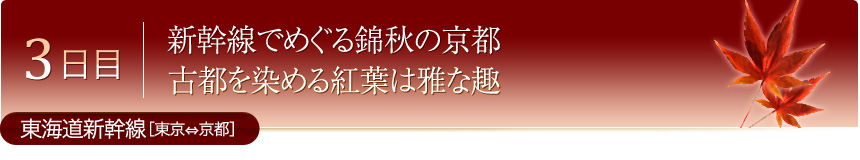 3日目 新幹線でめぐる錦秋の京都 古都を染める紅葉は雅な趣 東海道新幹線［東京⇔京都］