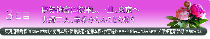 フルムーン列車旅 大人の 新婚フルムーン 北海道1泊2日 旅行 トレたび