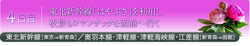 4日目 東北新幹線「はやぶさ」を利用し 夜景もロマンチックな函館へ行く 東北新幹線［東京⇒新青森］／奥羽本線・津軽線・津軽海峡線・江差線［新青森⇒函館］