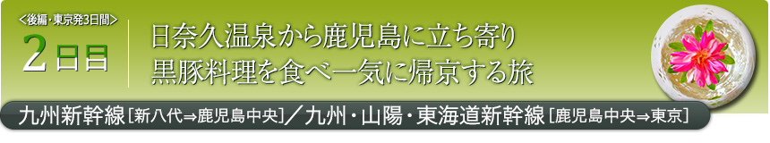 2日目日奈久温泉から鹿児島に立ち寄り黒豚料理を食べ一気に帰京する旅九州新幹線［新八代⇒鹿児島中央］／九州・山陽・東海道新幹線［鹿児島中央⇒東京］