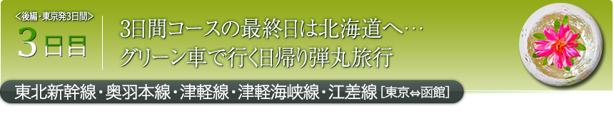 3日目3日間コースの最終日は北海道へ…グリーン車で行く日帰り弾丸旅行東北新幹線・奥羽本線・津軽線・津軽海峡線・江差線［東京⇔函館］