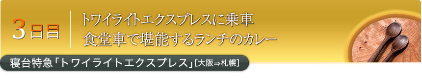 3日目トワイライトエクスプレスに乗車食堂車で堪能するランチのカレー寝台特急「トワイライトエクスプレス」［大阪⇒札幌］