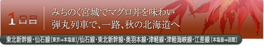 1日目｜みちのく宮城でマグロ丼を味わい弾丸列車で、一路、秋の北海道へ｜東北新幹線・仙石線［東京⇒本塩釜］／仙石線・東北新幹線・奥羽本線・津軽線・津軽海峡線・江差線［本塩釜⇒函館］