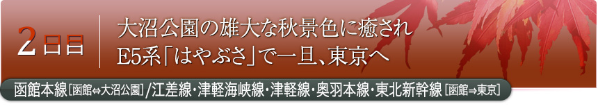 2日目｜大沼公園の雄大な秋景色に癒されE5系「はやぶさ」で一旦、東京へ｜函館本線［函館⇔大沼公園］／江差線・津軽海峡線・津軽線・奥羽本線・東北新幹線［函館⇒東京］