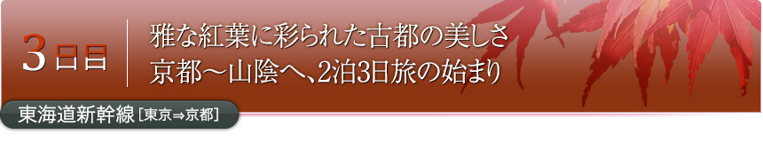 3日目｜雅な紅葉に彩られた古都の美しさ京都～山陰へ、2泊3日旅の始まり｜東海道新幹線［東京⇒京都］