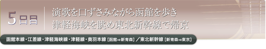 5日目｜演歌を口ずさみながら函館を歩き津軽海峡を眺め東北新幹線で帰京｜函館本線・江差線・津軽海峡線・津軽線・奥羽本線［函館⇒新青森］／東北新幹線［新青森⇒東京］