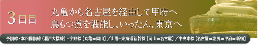 3日目｜丸亀から名古屋を経由して甲府へ鳥もつ煮を堪能し、いったん、東京へ｜予讃線・本四備讃線（瀬戸大橋線）・宇野線［丸亀⇒岡山］／山陽・東海道新幹線［岡山⇒名古屋］／中央本線［名古屋⇒塩尻⇒甲府⇒新宿］