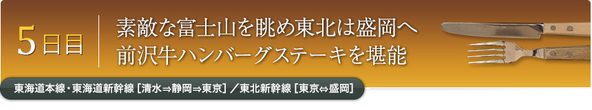 5日目｜素敵な富士山を眺め東北は盛岡へ前沢牛ハンバーグステーキを堪能｜東海道本線・東海道新幹線［清水⇒静岡⇒東京］／東北新幹線［東京⇔盛岡］