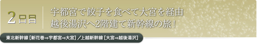 2日目｜宇都宮で餃子を食べて大宮を経由越後湯沢へ2階建て新幹線の旅！｜東北新幹線［新花巻⇒宇都宮⇒大宮］／上越新幹線［大宮⇒越後湯沢］