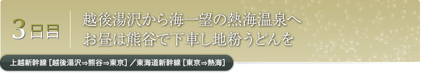 3日目｜越後湯沢から海一望の熱海温泉へお昼は熊谷で下車し地粉うどんを｜上越新幹線［越後湯沢⇒熊谷⇒東京］／東海道新幹線［東京⇒熱海］