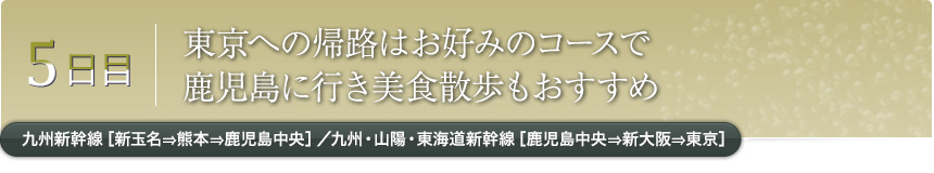 5日目｜東京への帰路はお好みのコースで鹿児島に行き美食散歩もおすすめ｜九州新幹線［新玉名⇒熊本⇒鹿児島中央］／九州・山陽・東海道新幹線［鹿児島中央⇒新大阪⇒東京］