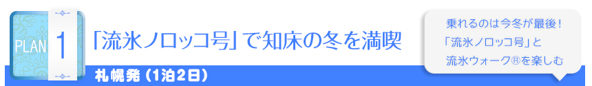 PLAN 1「流氷ノロッコ号」で知床の冬を満喫｜札幌発（1泊2日）｜乗れるのは今冬が最後！「流氷ノロッコ号」と流氷ウォークを楽しむ