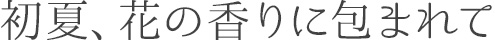 初夏、花の香りに包まれて