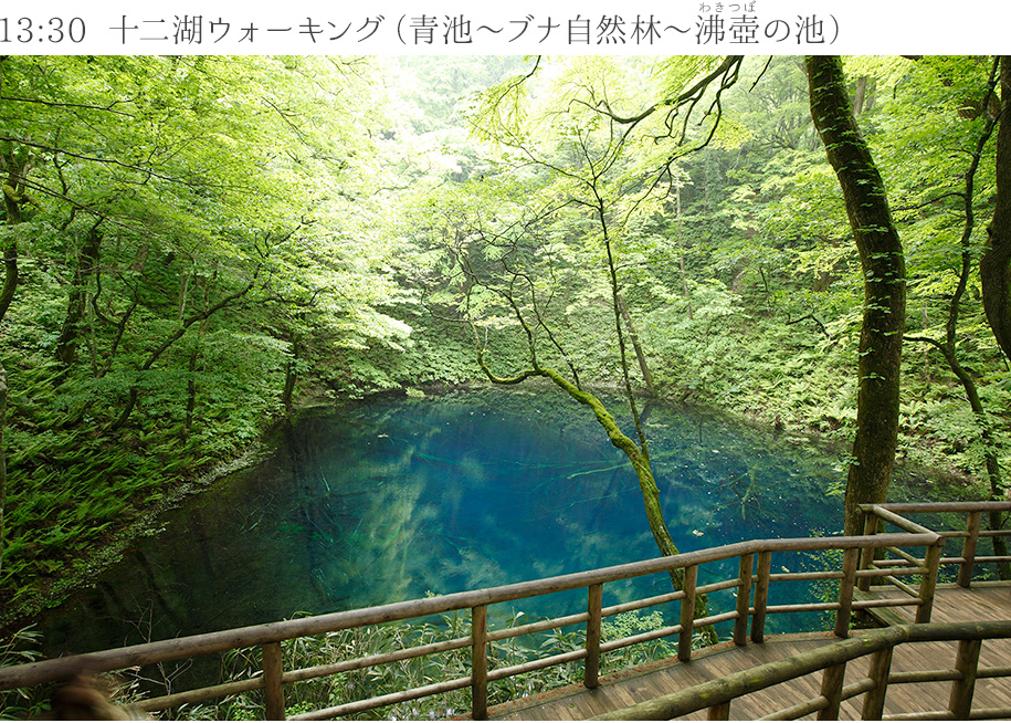 13:30　十二湖ウォーキング（青池～ブナ自然林～沸壺の池）