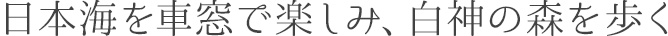 日本海を車窓で楽しみ、白神の森を歩く

