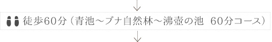 徒歩60分（青池?ブナ自然林?沸壺の池 60分コース）