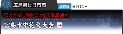広島県廿日市市｜開催日 8月11日｜花火の光に浮かび上がる嚴島神社｜宮島水中花火大会