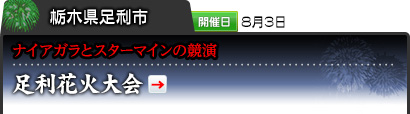 栃木県足利市｜開催日 8月3日｜ナイアガラとスターマインの競演｜足利花火大会