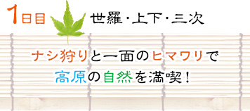 １日目｜世羅・上下・三次｜ナシ狩りと一面のヒマワリで高原の自然を満喫！