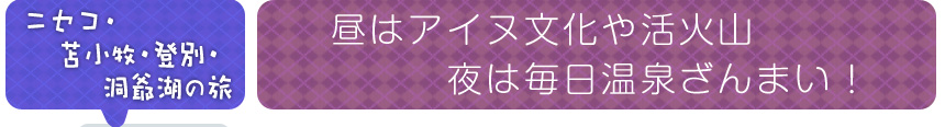 ニセコ・苫小牧・登別・洞爺湖の旅｜昼はアイヌ文化や活火山
夜は毎日温泉ざんまい！