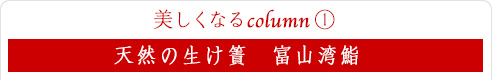 美しくなるcolumn 1｜天然の生け簀　富山湾鮨